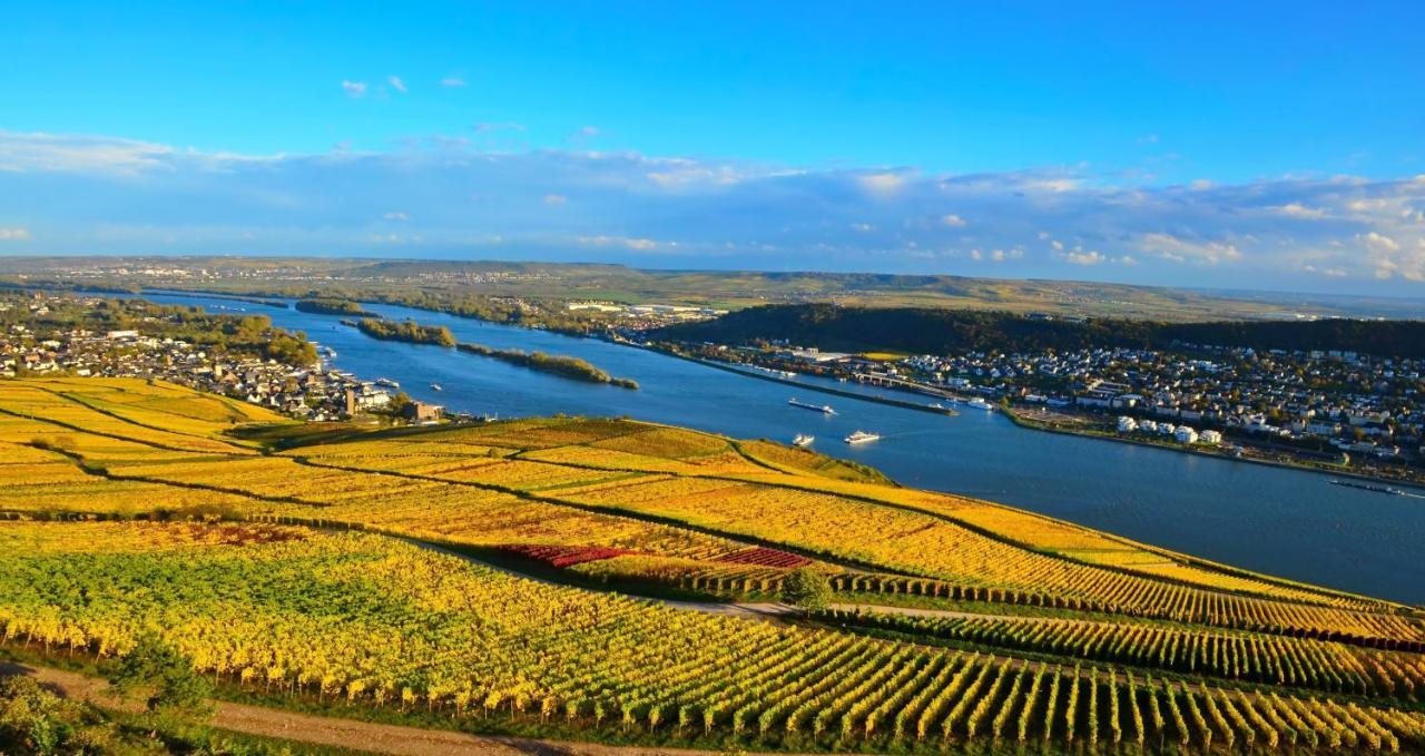 Hotel Kronenschloesschen Eltville am Rhein Dış mekan fotoğraf