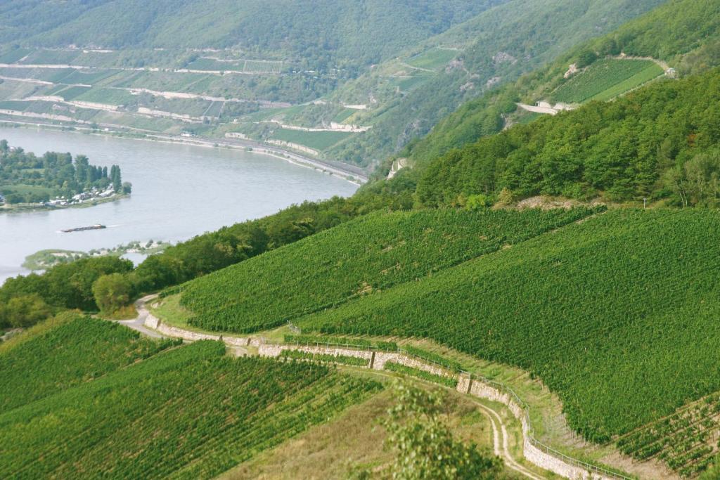 Hotel Kronenschloesschen Eltville am Rhein Dış mekan fotoğraf
